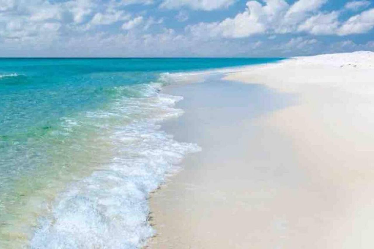 Walk To Downtown Seafood Market Bay Views Pensacola Ngoại thất bức ảnh
